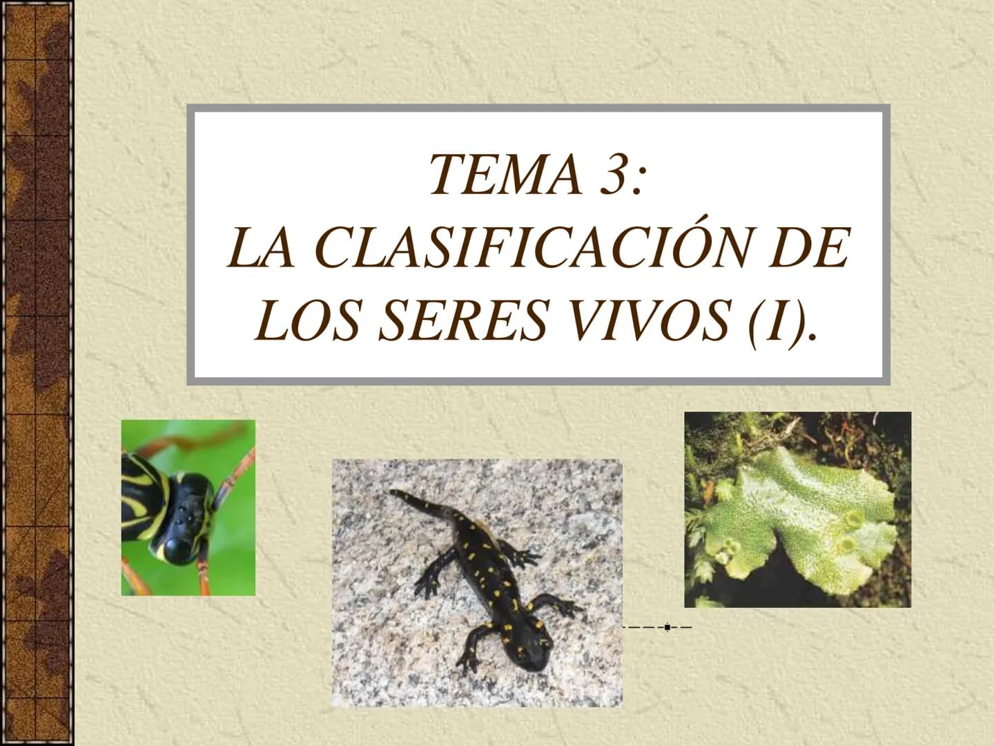 TEMA 3:
LA CLASIFICACIÓN DE
LOS SERES VIVOS (I). La taxonomía
Ciencia que se ocupa de la clasificación de los seres vivos que
presentan seme