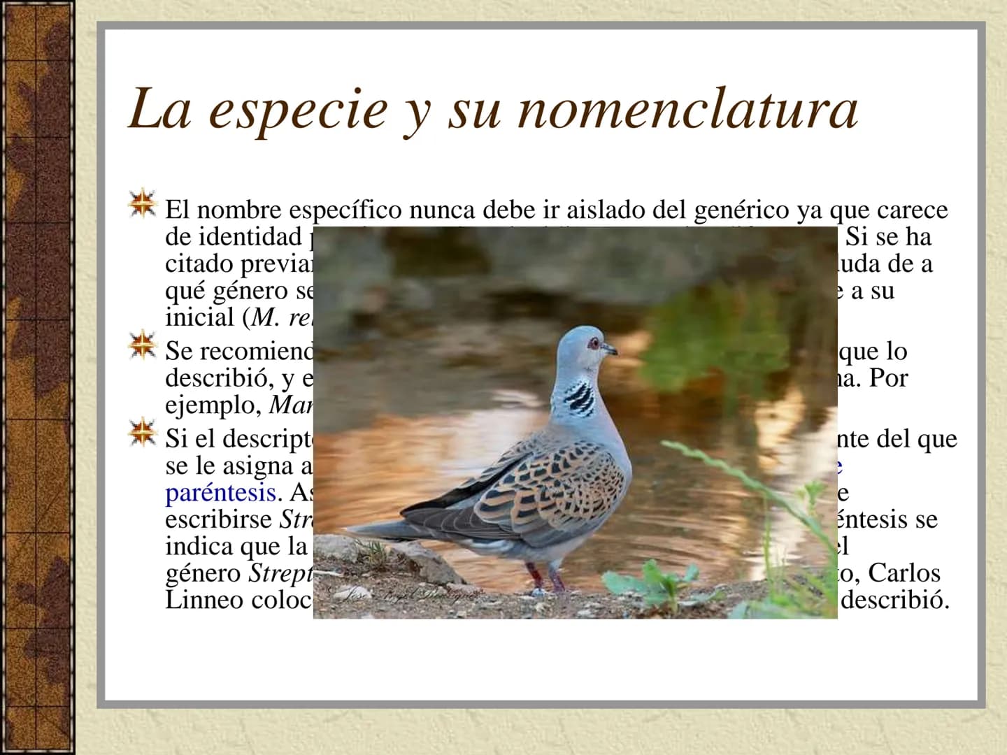 TEMA 3:
LA CLASIFICACIÓN DE
LOS SERES VIVOS (I). La taxonomía
Ciencia que se ocupa de la clasificación de los seres vivos que
presentan seme