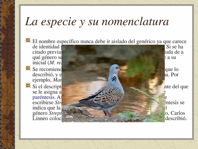 TEMA 3:
LA CLASIFICACIÓN DE
LOS SERES VIVOS (I). La taxonomía
Ciencia que se ocupa de la clasificación de los seres vivos que
presentan seme