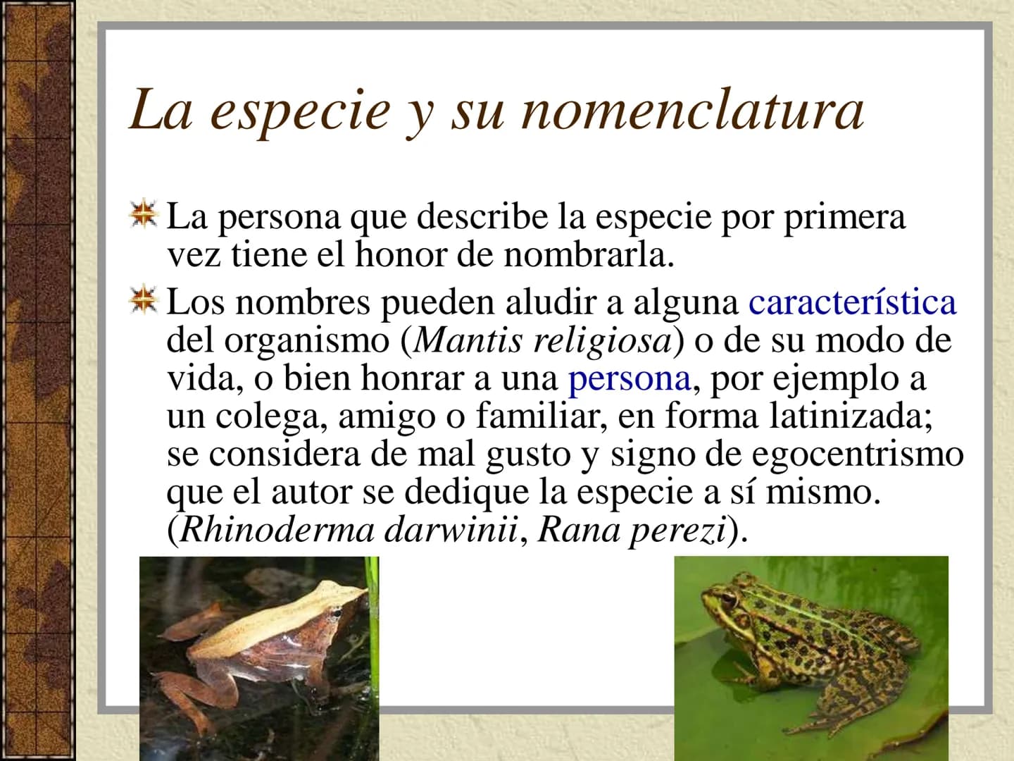 TEMA 3:
LA CLASIFICACIÓN DE
LOS SERES VIVOS (I). La taxonomía
Ciencia que se ocupa de la clasificación de los seres vivos que
presentan seme