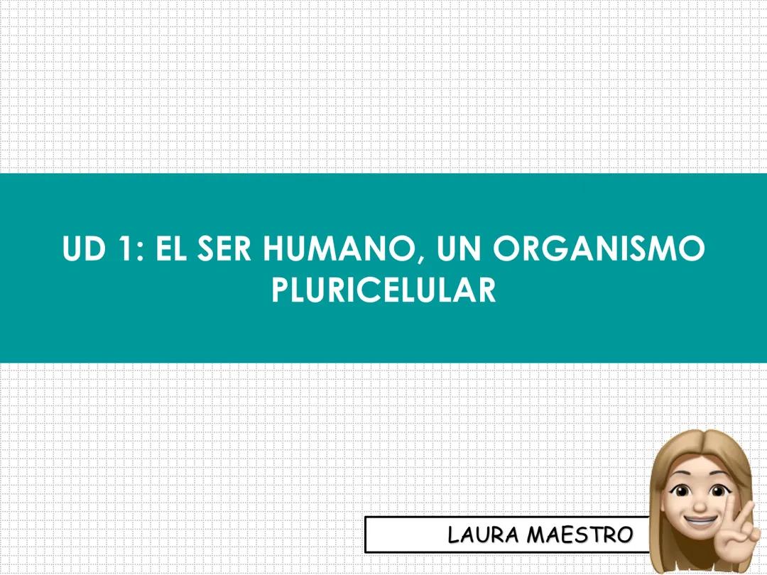 TEMA 1:EL SER HUMANO, UN ORGANISMO PLURICELULAR