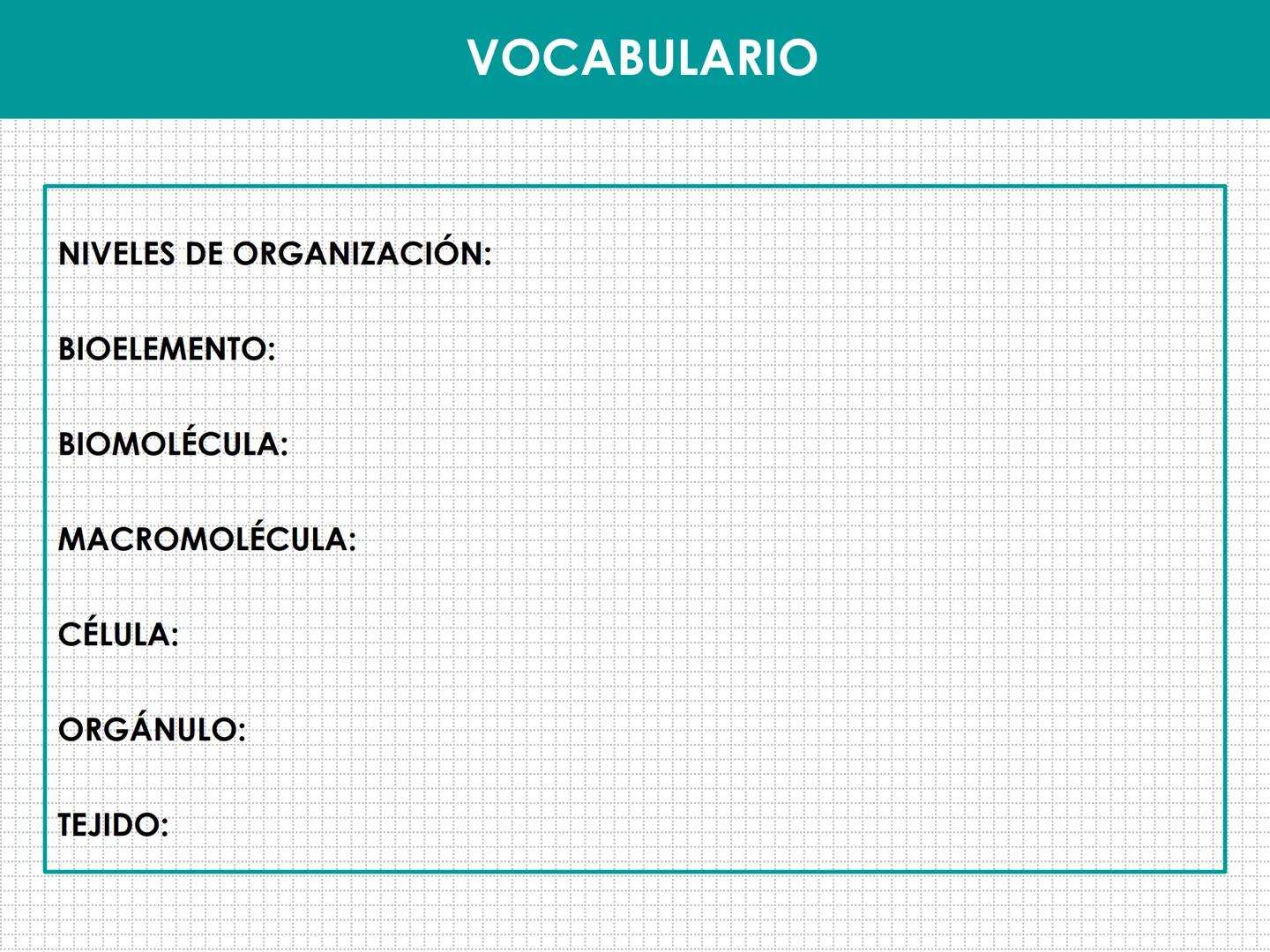 UD 1: EL SER HUMANO, UN ORGANISMO
PLURICELULAR
LAURA MAESTRO
www. NIVELES DE ORGANIZACIÓN:
BIOELEMENTO:
BIOMOLÉCULA:
MACROMOLÉCULA:
CÉLULA:

