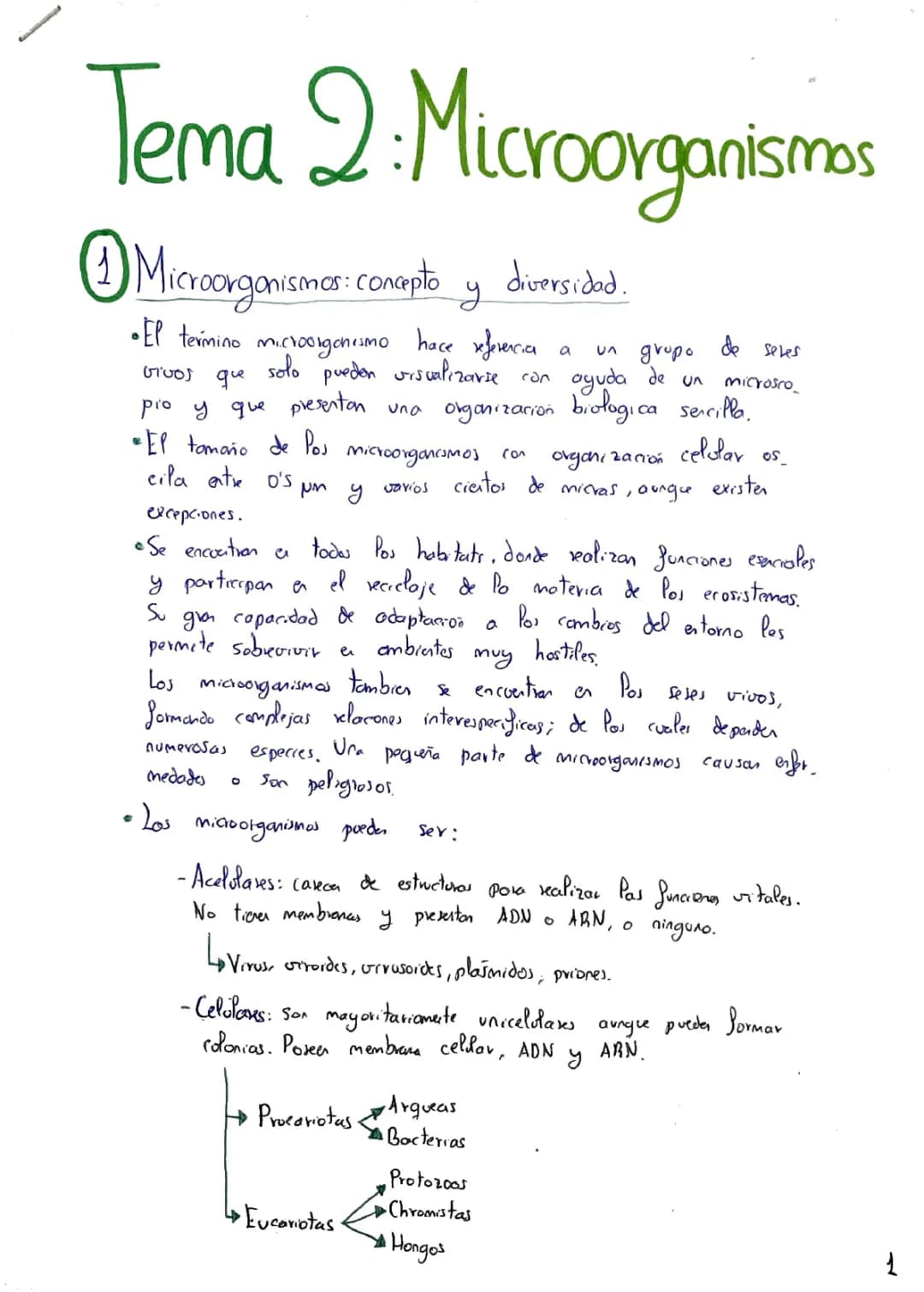 Microorganismos: Ejemplos, Tipos y Ciclos Biogeoquímicos