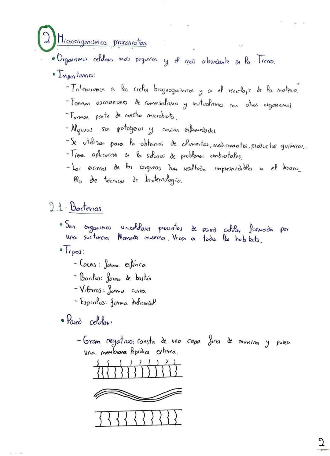 Tema 2: Microorganismos
Microorganismos: Conapto y
• El termino microorganismo hace referencia
vivos que
solo
pio y que presentan una
El tam