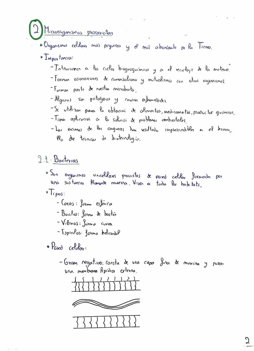 Tema 2: Microorganismos
Microorganismos: Conapto y
• El termino microorganismo hace referencia
vivos que
solo
pio y que presentan una
El tam
