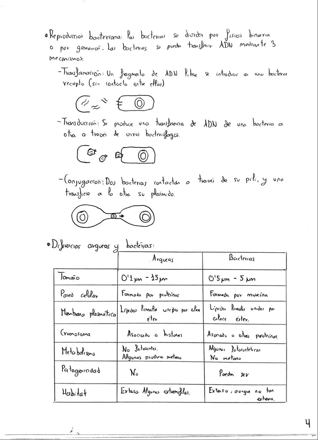 Tema 2: Microorganismos
Microorganismos: Conapto y
• El termino microorganismo hace referencia
vivos que
solo
pio y que presentan una
El tam