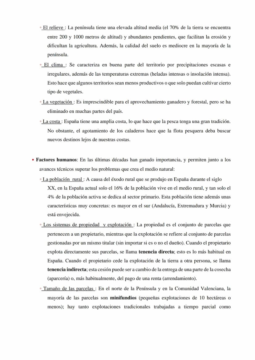 1. ESPACIO RURAL, SECTOR PRIMARIO Y SUS CONDICIONANTES
1.1. ¿Qué es el espacio rural?
Llamamos espacio rural al territorio no urbanizado, qu