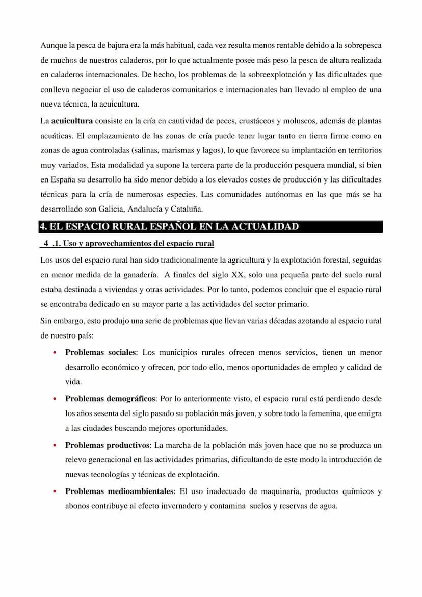 1. ESPACIO RURAL, SECTOR PRIMARIO Y SUS CONDICIONANTES
1.1. ¿Qué es el espacio rural?
Llamamos espacio rural al territorio no urbanizado, qu