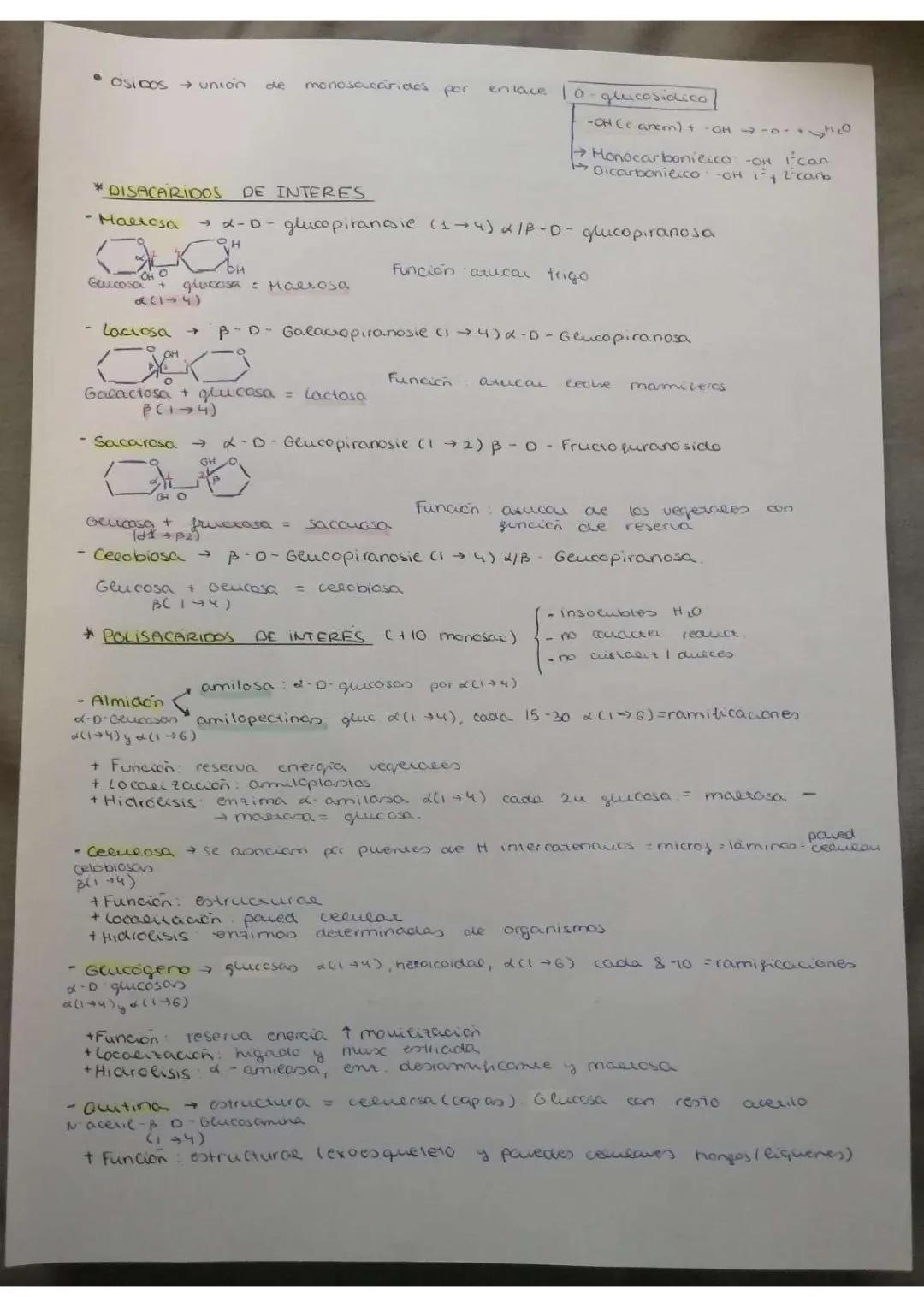 Glúcidos: Resumen y Propiedades