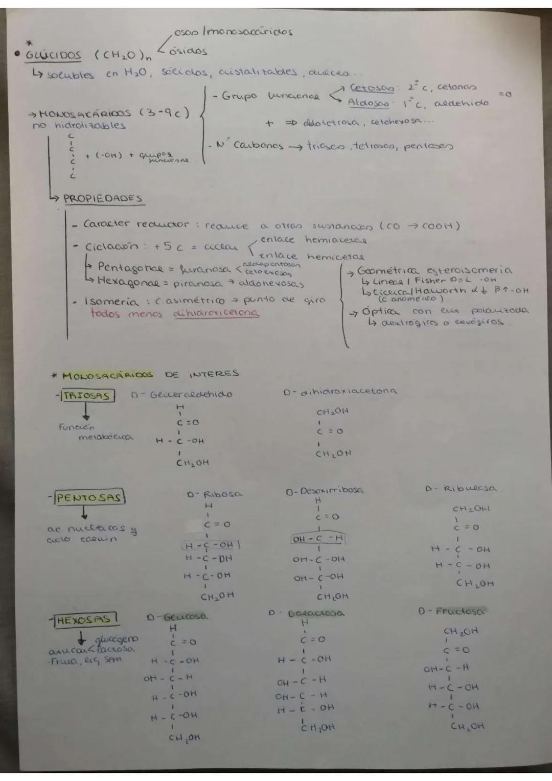 • Osicos → union de monosacáridos por
*DISACARIDOS DE INTERES
- Hallosa
laciosa →
CHO
Glucosa + glucosa = Hallosa
2(144)
OH
H
→ x-D-glucopir