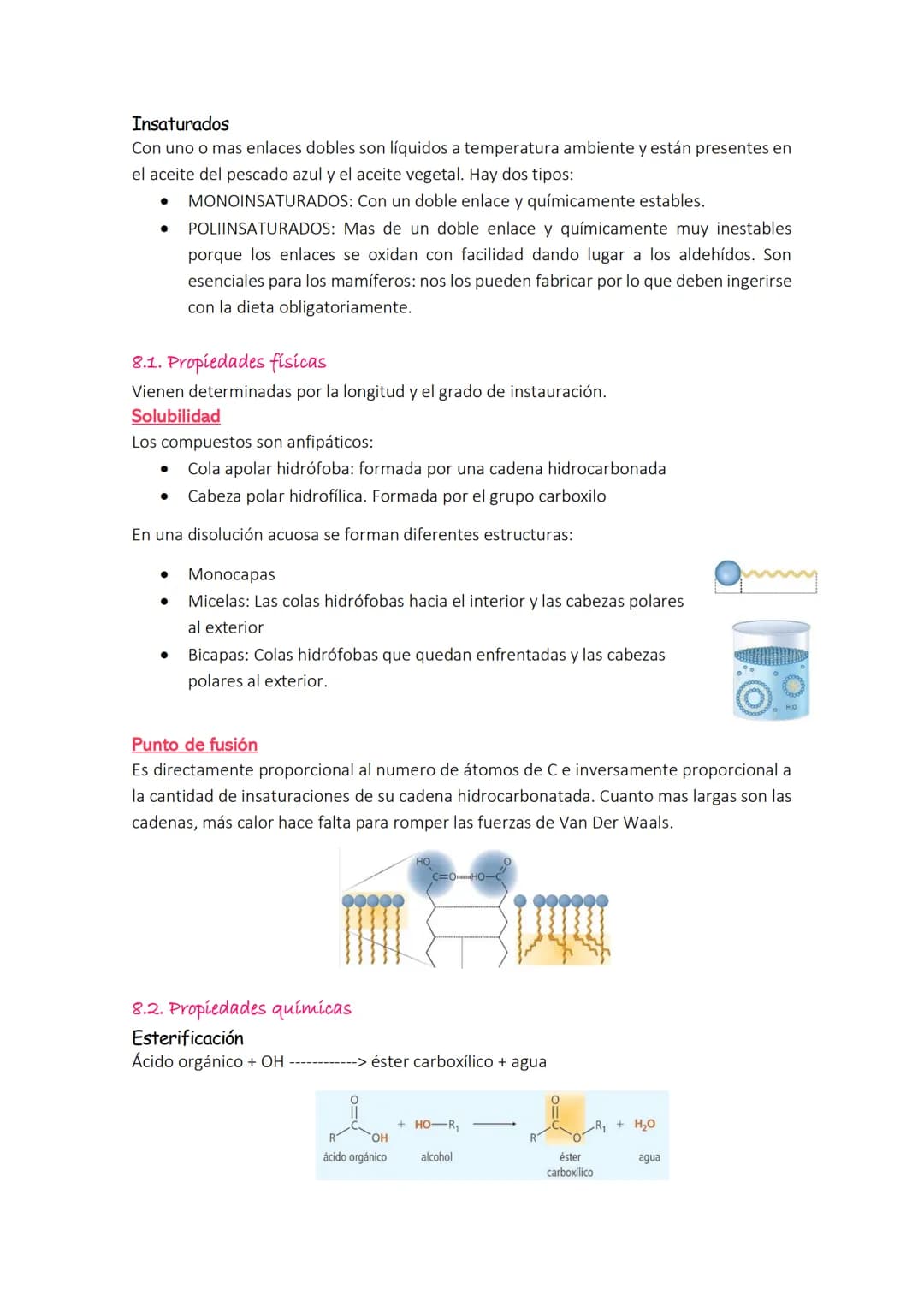 TEMA 2: GLÚCIDOS Y LÍPIDOS
1. CLASIFICACIÓN DE GLÚCIDOS
Son formados por C, H y O y químicamente son polialcoholes con función de aldehído y
