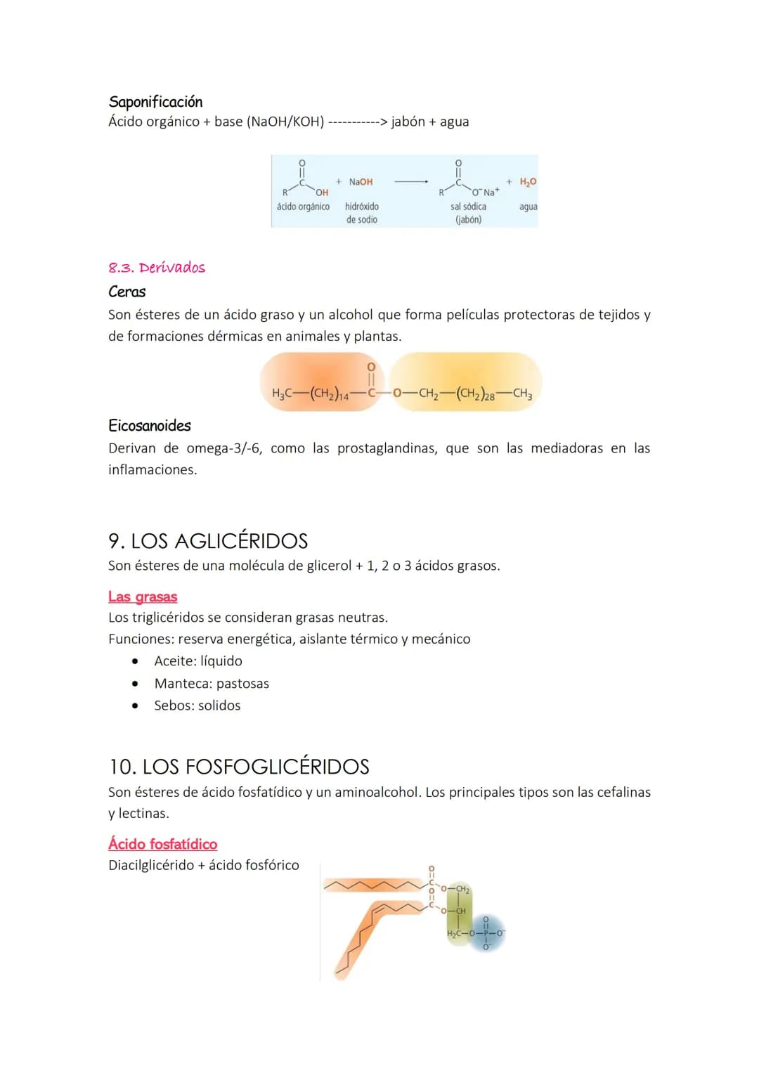 TEMA 2: GLÚCIDOS Y LÍPIDOS
1. CLASIFICACIÓN DE GLÚCIDOS
Son formados por C, H y O y químicamente son polialcoholes con función de aldehído y