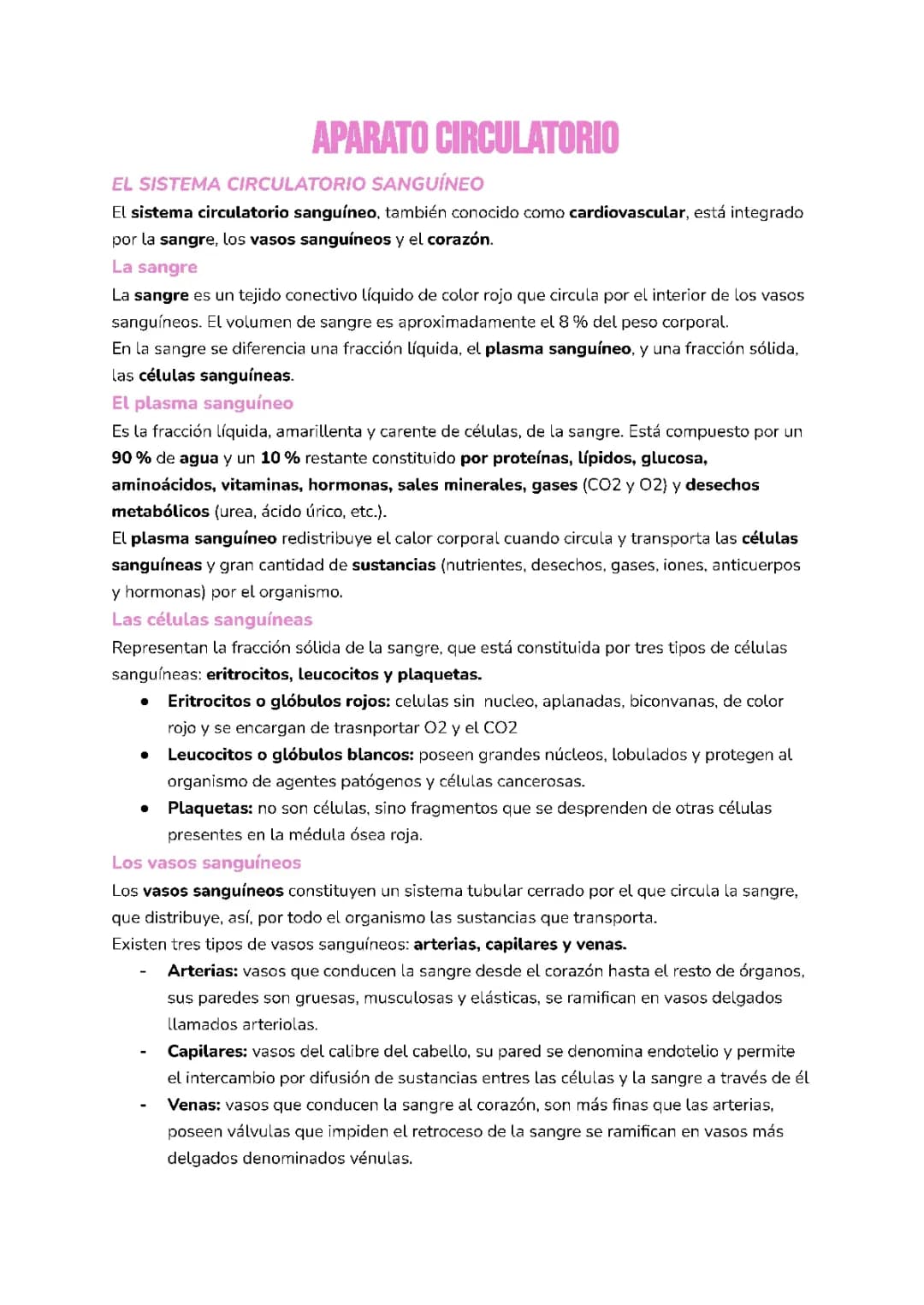 Sistema Circulatorio para Niños: Órganos, Funciones y Más
