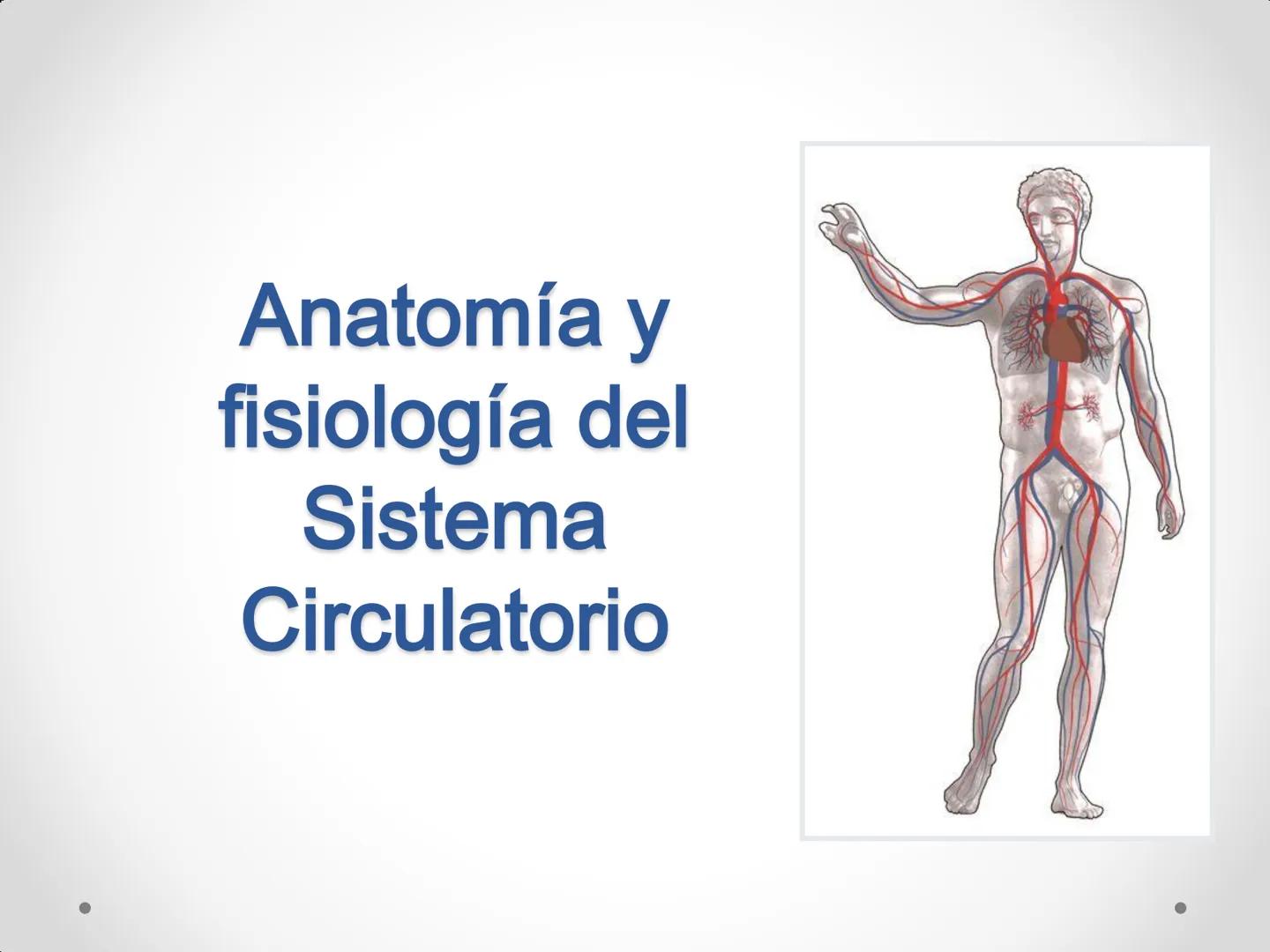 # Anatomía y
fisiología del
Sistema
Circulatorio ## El aparato circulatorio

* Se encarga del transporte de sustancias
por todo el organismo