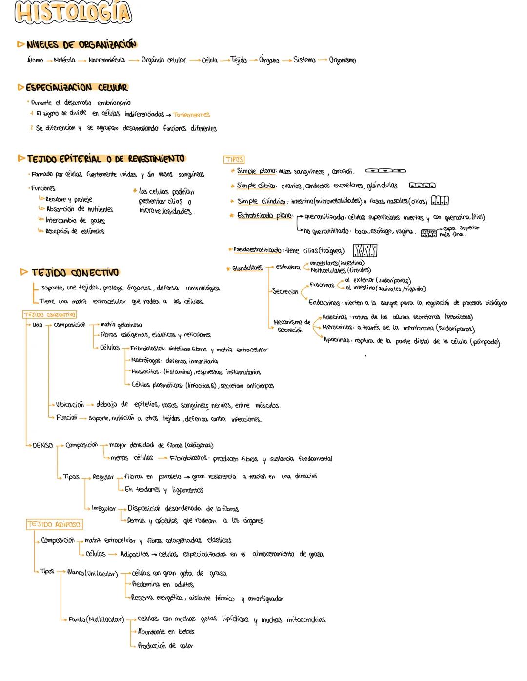Histología de Tejidos: Apuntes para 1º Bachillerato