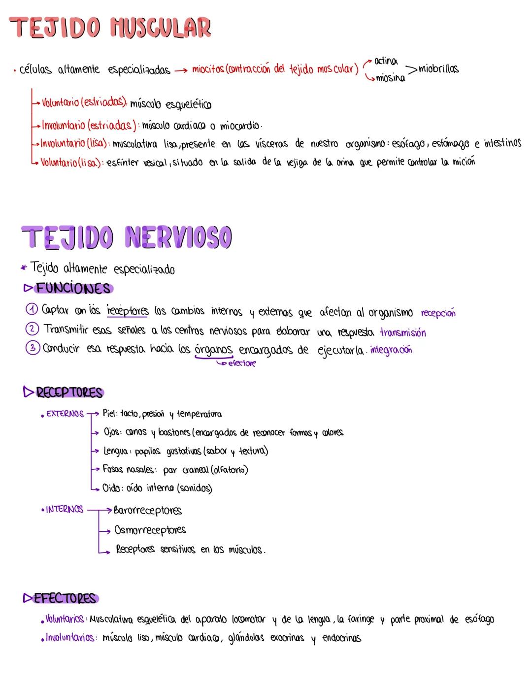 # HISTOLOGIA

## NIVELES DE ORGANIZACIÓN
Átomos - Molécula - Macromolécula - Orgánulo celular - Célula - Tejido - Órgano - Sistema - Organis