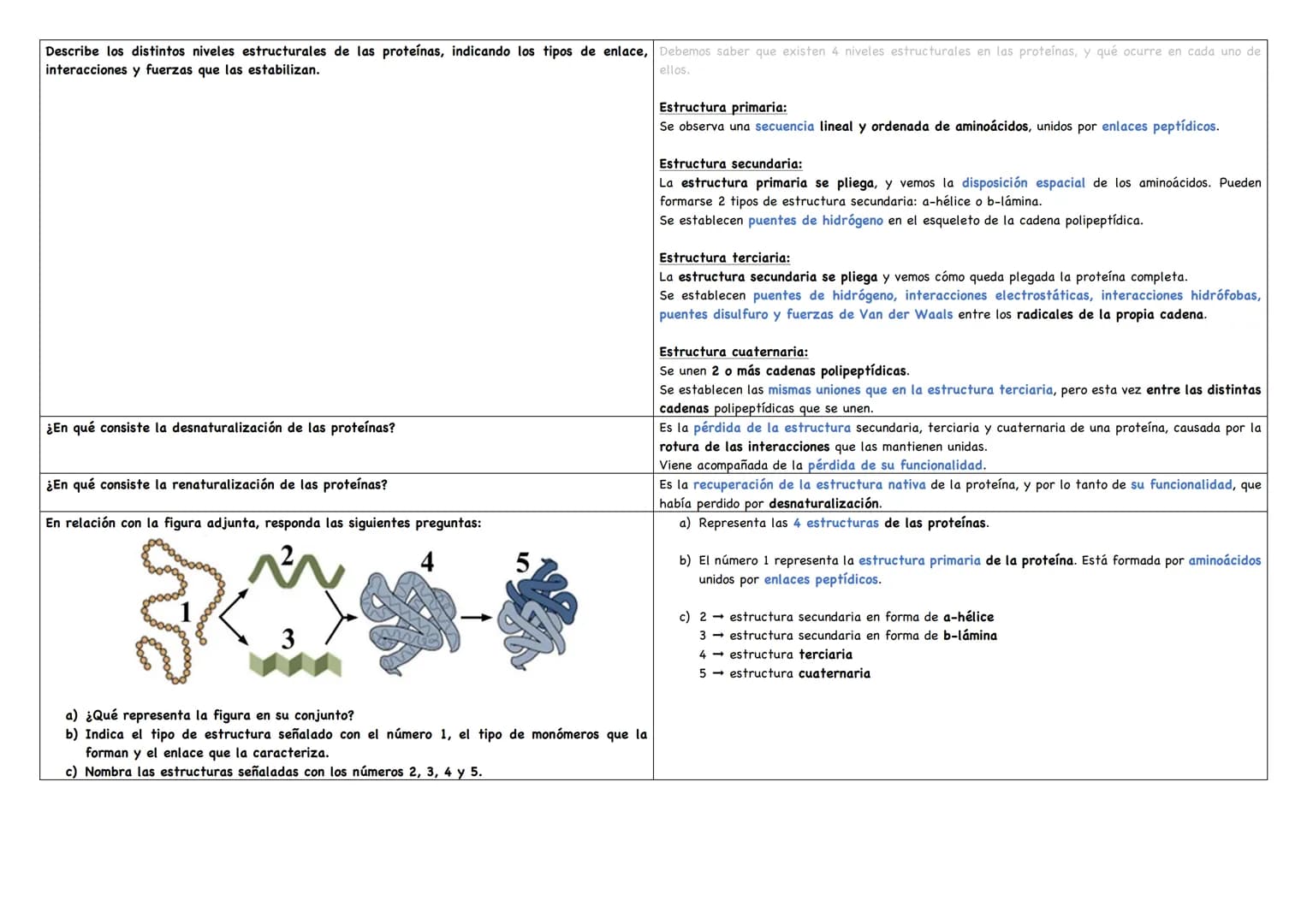 Describe los distintos niveles estructurales de las proteínas, indicando los tipos de enlace, Debemos saber que existen 4 niveles estructura