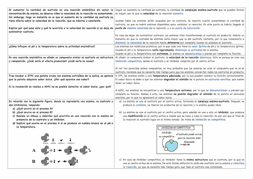 Describe los distintos niveles estructurales de las proteínas, indicando los tipos de enlace, Debemos saber que existen 4 niveles estructura