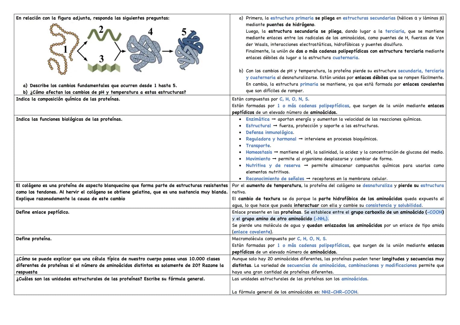 Describe los distintos niveles estructurales de las proteínas, indicando los tipos de enlace, Debemos saber que existen 4 niveles estructura