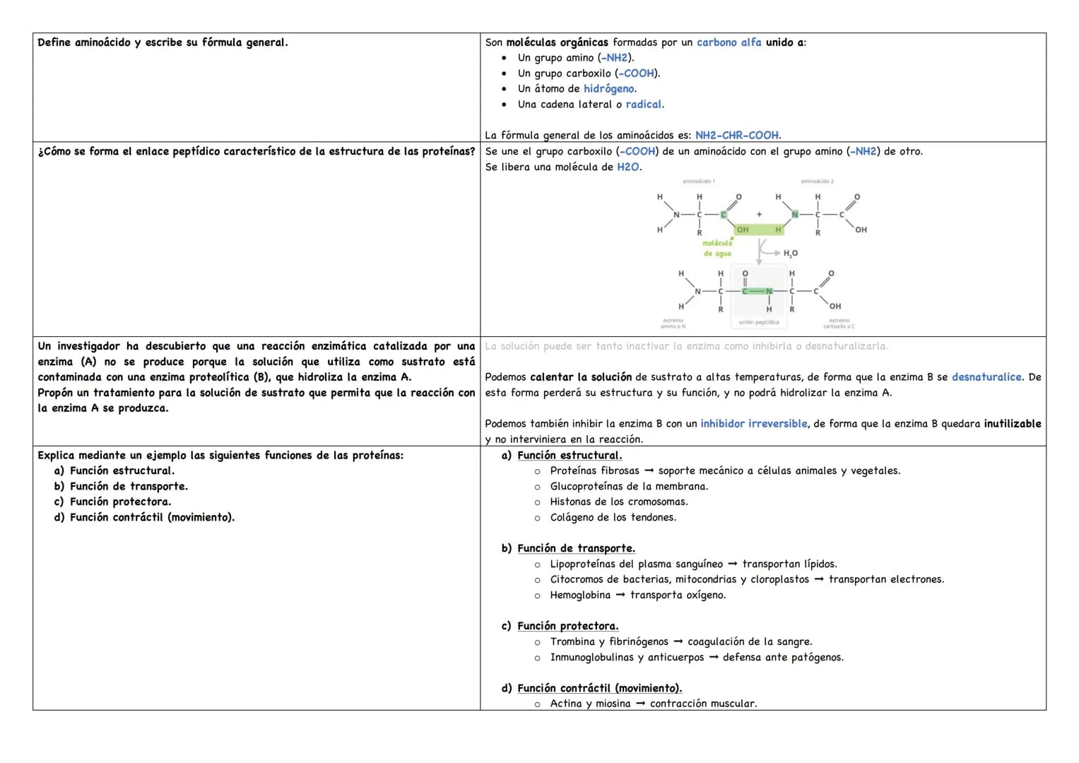Describe los distintos niveles estructurales de las proteínas, indicando los tipos de enlace, Debemos saber que existen 4 niveles estructura