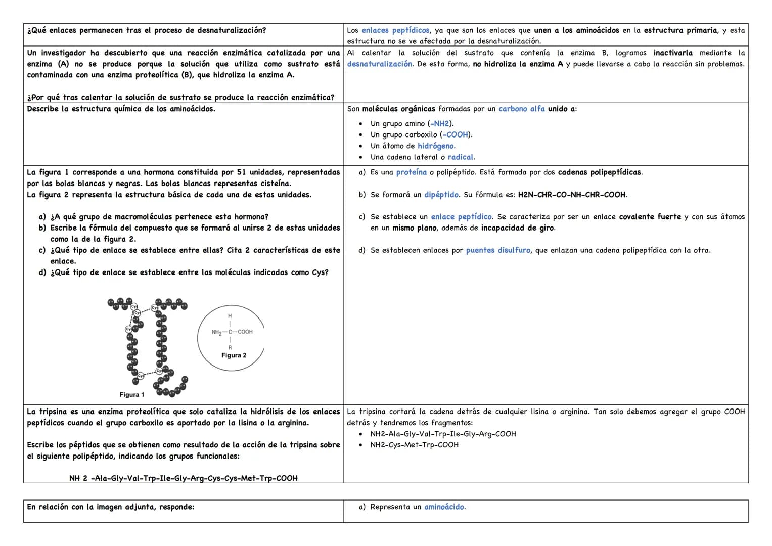 Describe los distintos niveles estructurales de las proteínas, indicando los tipos de enlace, Debemos saber que existen 4 niveles estructura
