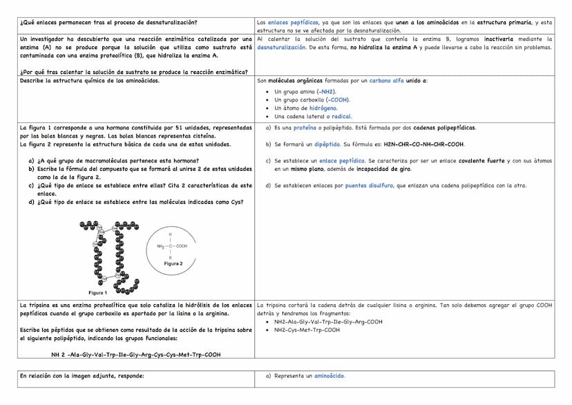 Describe los distintos niveles estructurales de las proteínas, indicando los tipos de enlace, Debemos saber que existen 4 niveles estructura