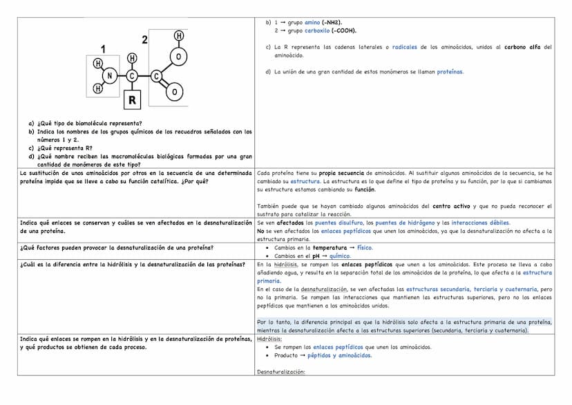 Describe los distintos niveles estructurales de las proteínas, indicando los tipos de enlace, Debemos saber que existen 4 niveles estructura