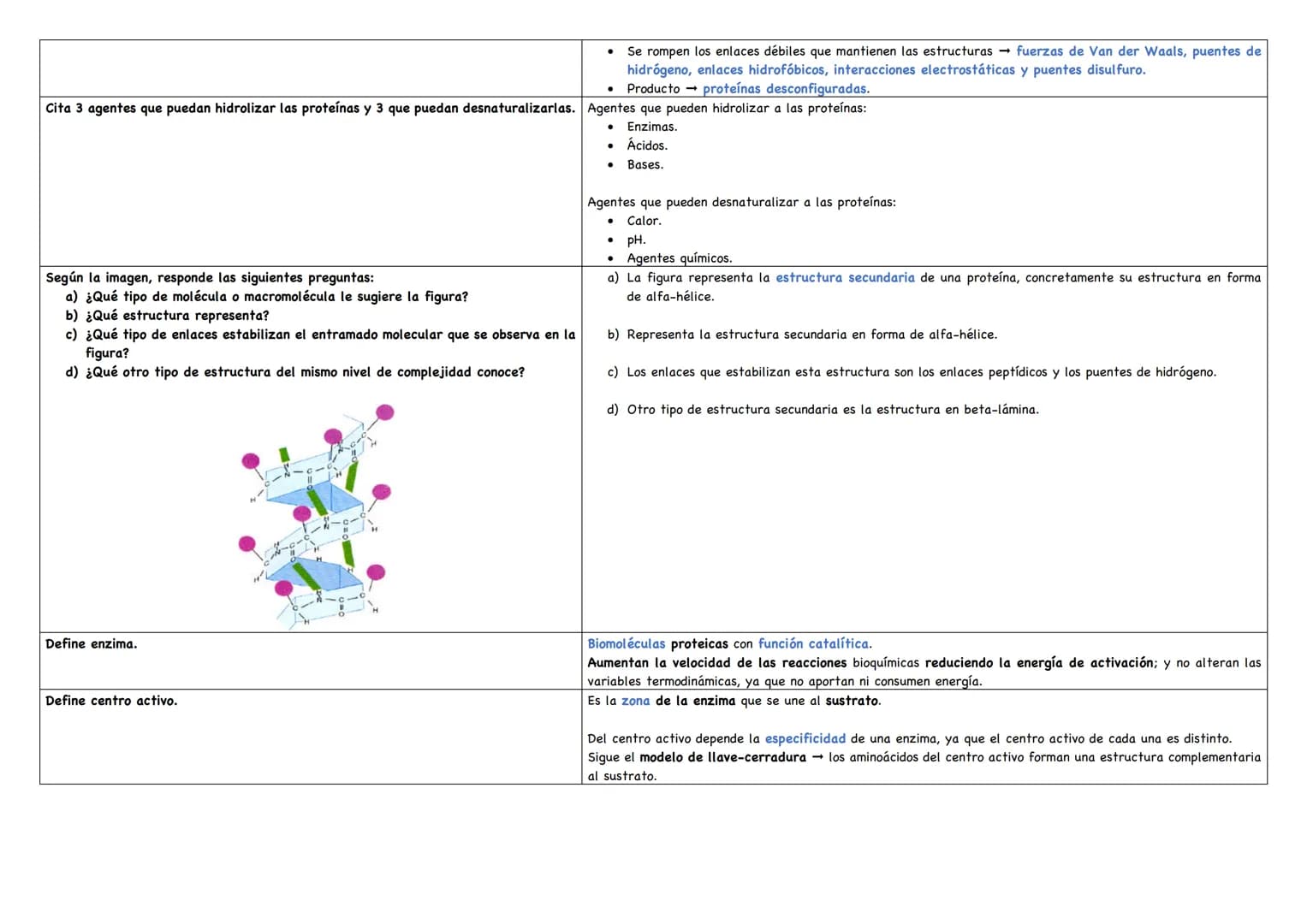 Describe los distintos niveles estructurales de las proteínas, indicando los tipos de enlace, Debemos saber que existen 4 niveles estructura