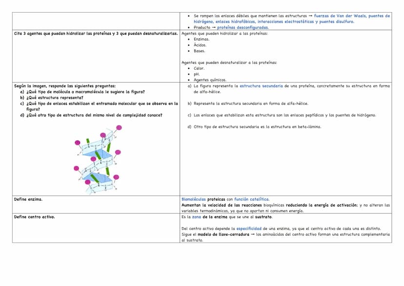 Describe los distintos niveles estructurales de las proteínas, indicando los tipos de enlace, Debemos saber que existen 4 niveles estructura