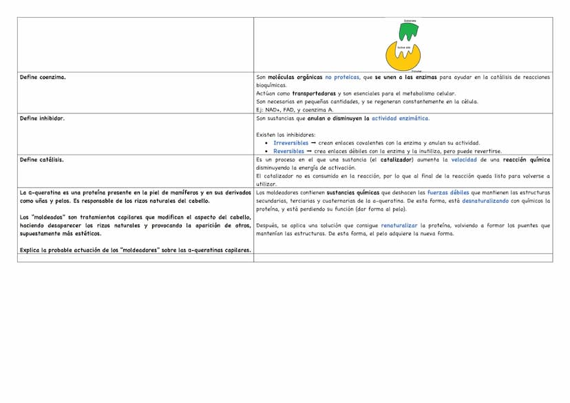 Describe los distintos niveles estructurales de las proteínas, indicando los tipos de enlace, Debemos saber que existen 4 niveles estructura