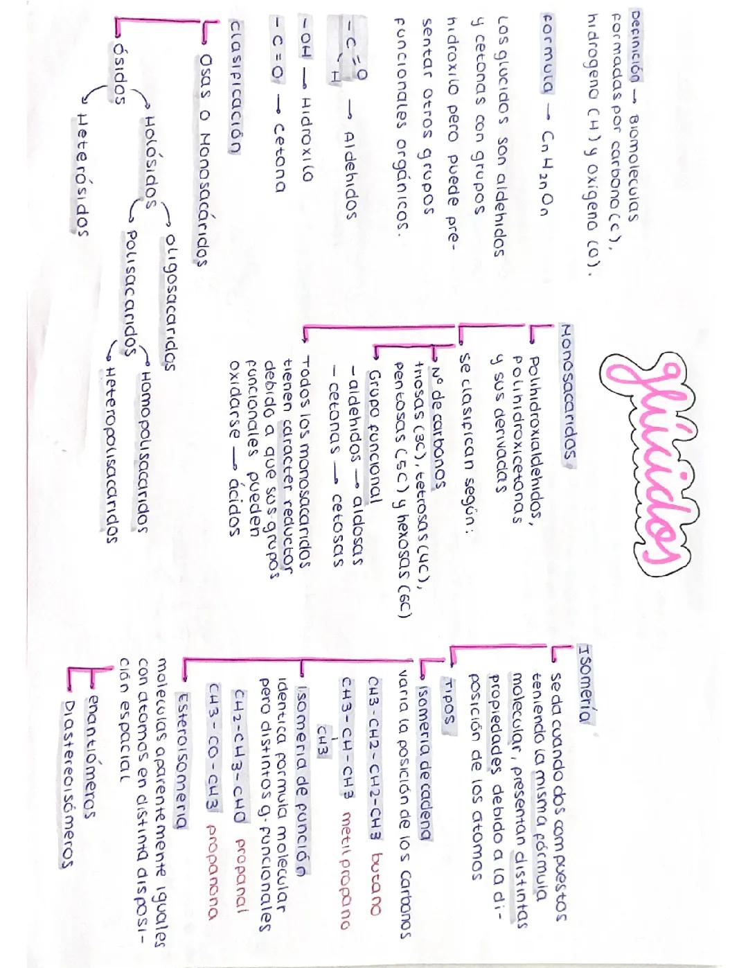 Apuntes Tema 1: Glúcidos en Biología