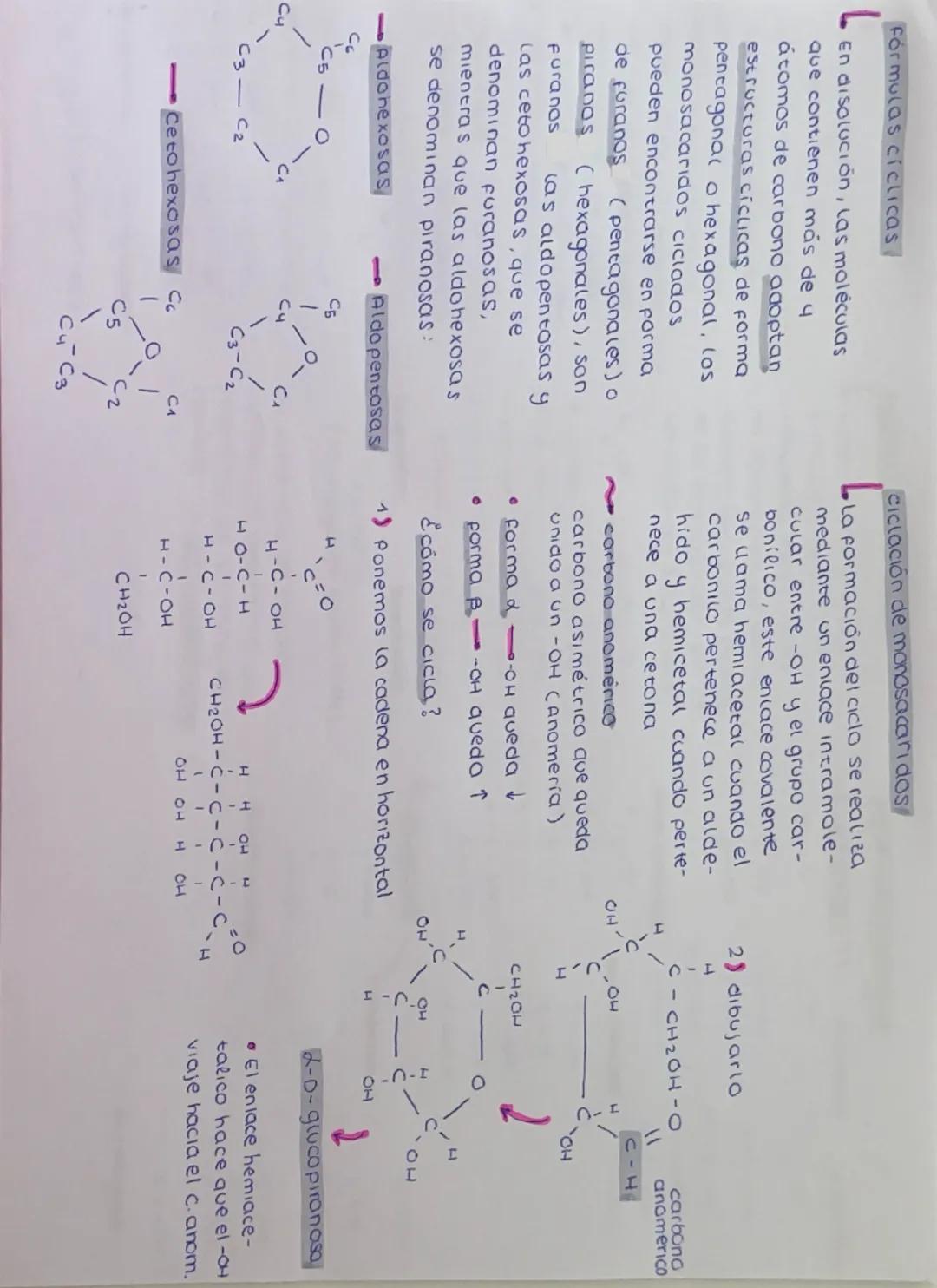 Definición Biomoleculas
Formadas por carbono (c),
hidrogeno (H)y oxigeno (0).
Formula - CnH₂n On
Los glucidos son aldehidos
y cetonas con gr