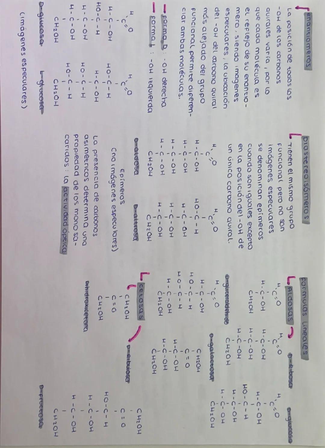 Definición Biomoleculas
Formadas por carbono (c),
hidrogeno (H)y oxigeno (0).
Formula - CnH₂n On
Los glucidos son aldehidos
y cetonas con gr