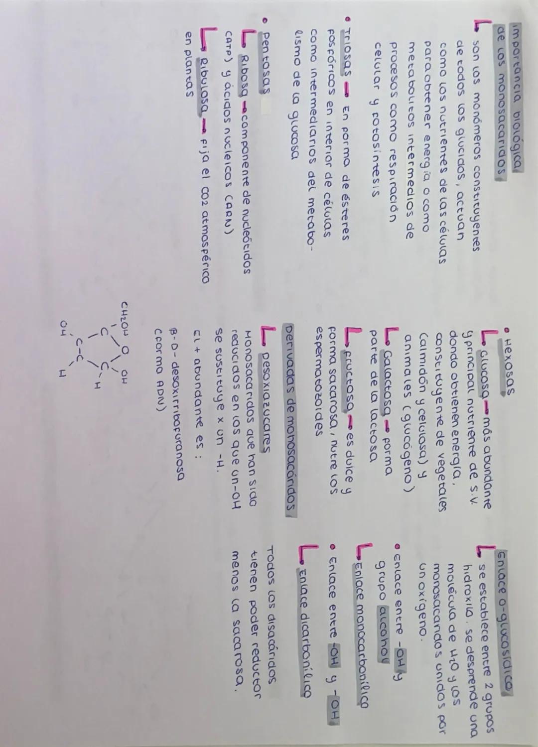Definición Biomoleculas
Formadas por carbono (c),
hidrogeno (H)y oxigeno (0).
Formula - CnH₂n On
Los glucidos son aldehidos
y cetonas con gr