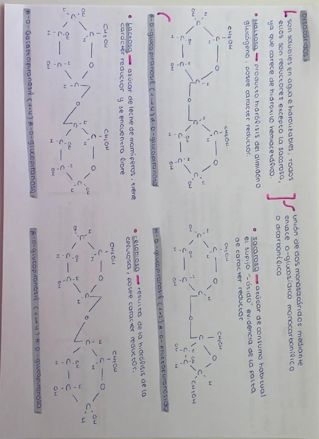 Definición Biomoleculas
Formadas por carbono (c),
hidrogeno (H)y oxigeno (0).
Formula - CnH₂n On
Los glucidos son aldehidos
y cetonas con gr