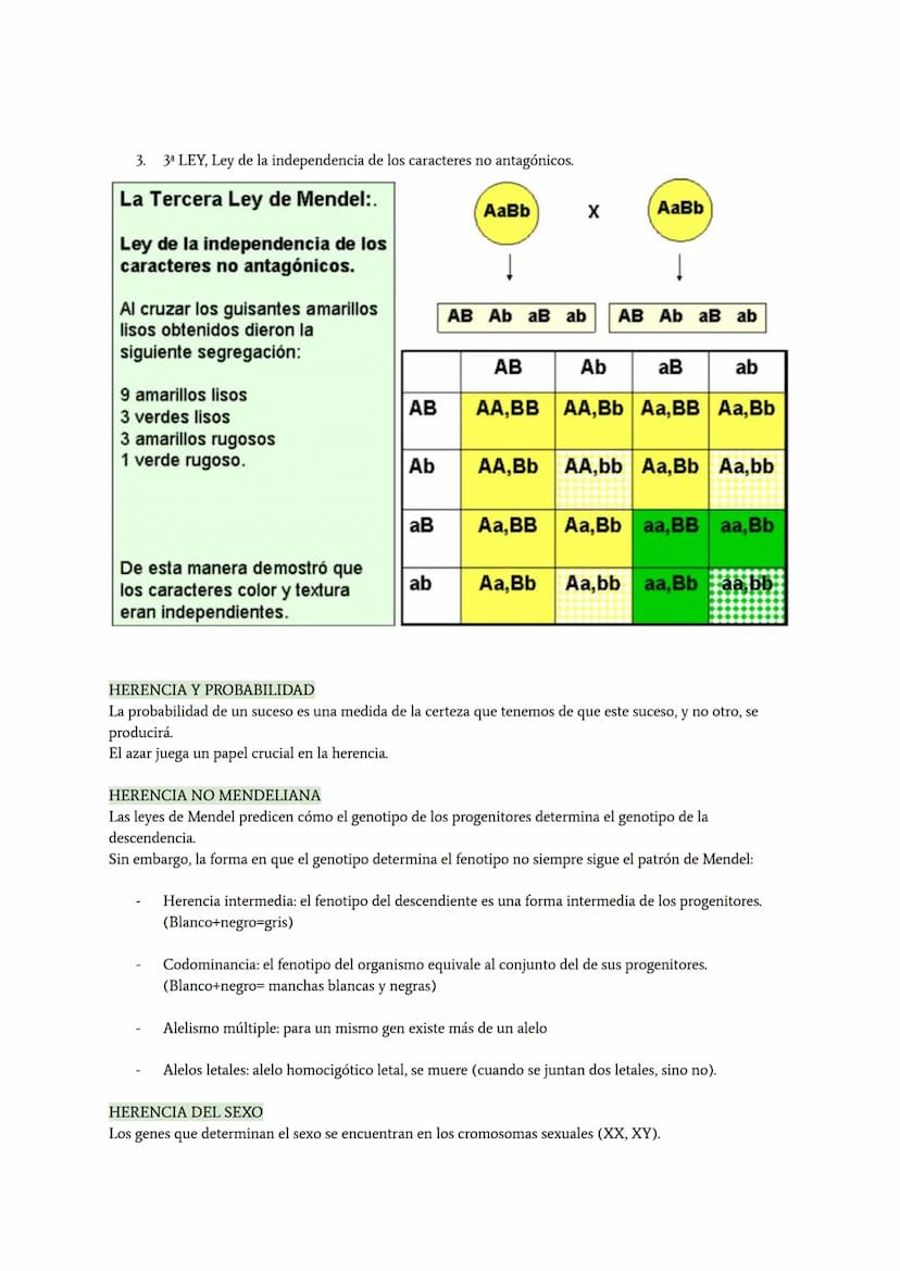 LA HERENCIA
La transmisión de los rasgos hereditarios se denomina herencia biológica.
La genética es la disciplina que estudia los mecanismo