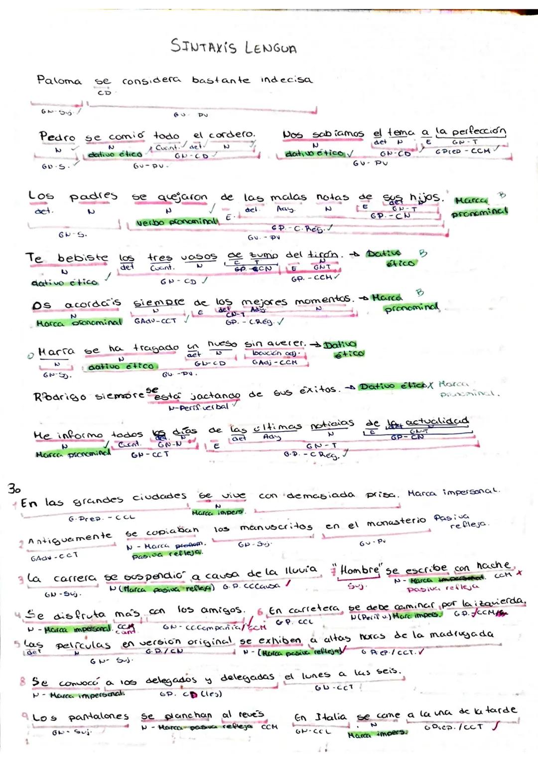 Paloma
6455
Los
det.
O
GU.S.
Te
Pedro se comió todo el cordero.
N
て
N
I dativo ético / Cucint. det
GN-S.
dativo citico.
padres
se
bebiste
Os