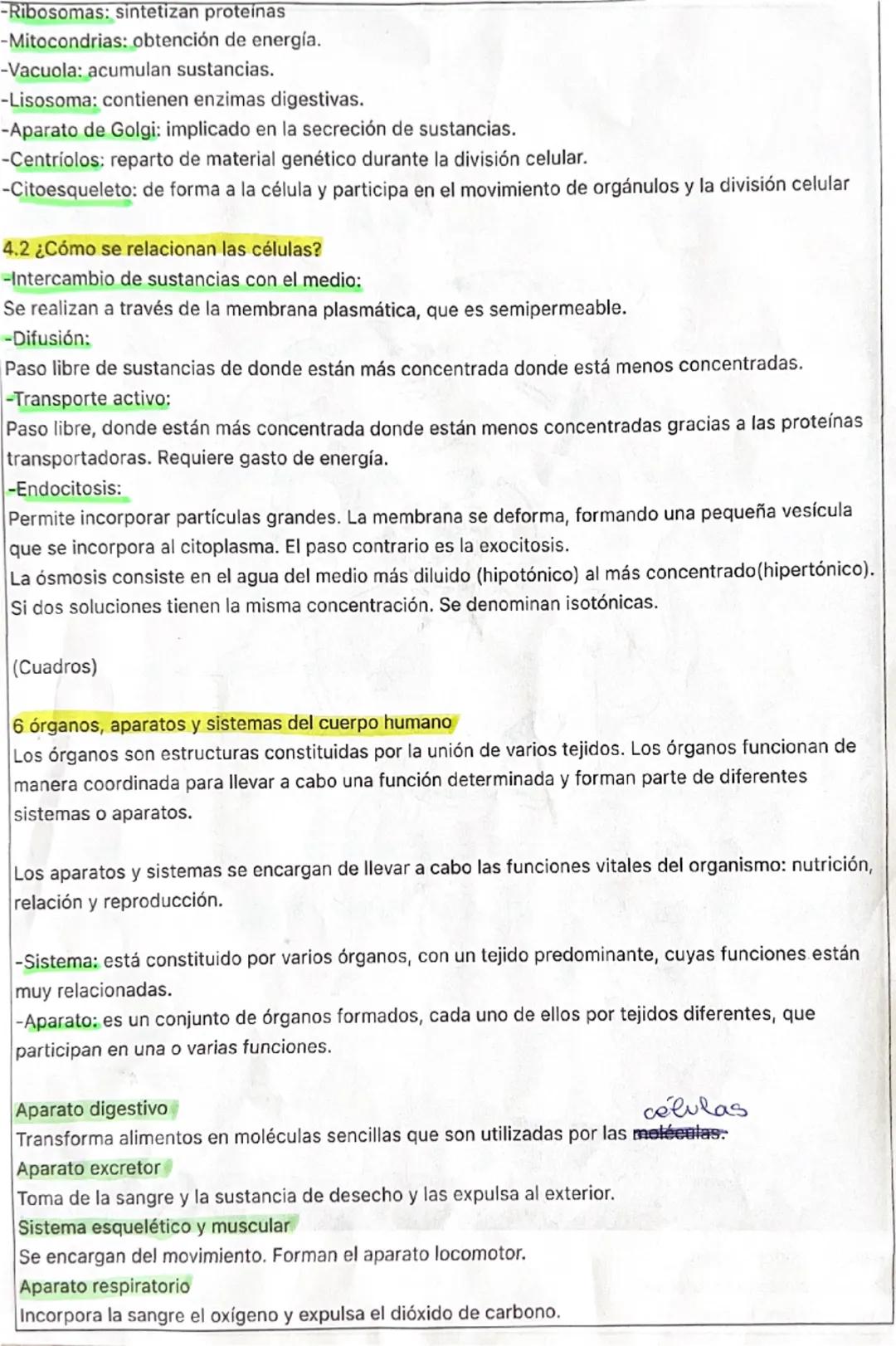 # Biología
Tema 1: La organización del cuerpo humano

1 Los niveles de organización de la materia viva.

Los niveles de organización son cad