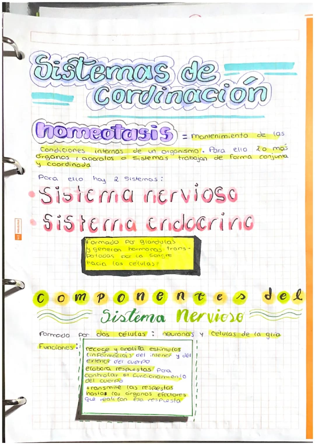 at Sistamm
Nerviese,
Sistema
Central
(SNC)
encefalo
Médula
espinal:
actos reflejos
Cerebro informacion de cos
receptores actividades volunta