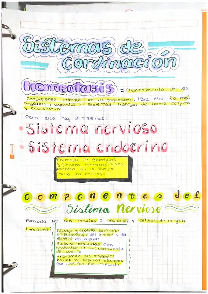 at Sistamm
Nerviese,
Sistema
Central
(SNC)
encefalo
Médula
espinal:
actos reflejos
Cerebro informacion de cos
receptores actividades volunta