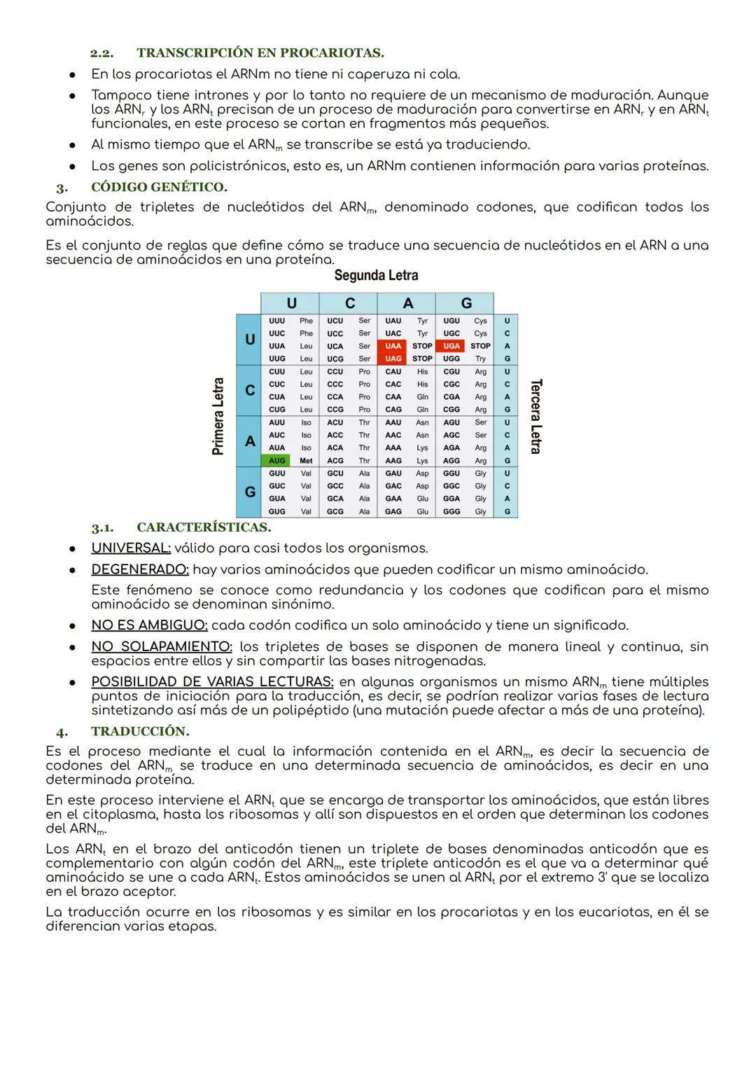 # La transcripción y traducción.

INTRODUCCIÓN.
El ADN es la molécula que lleva la información genética que determina la síntesis de las pro