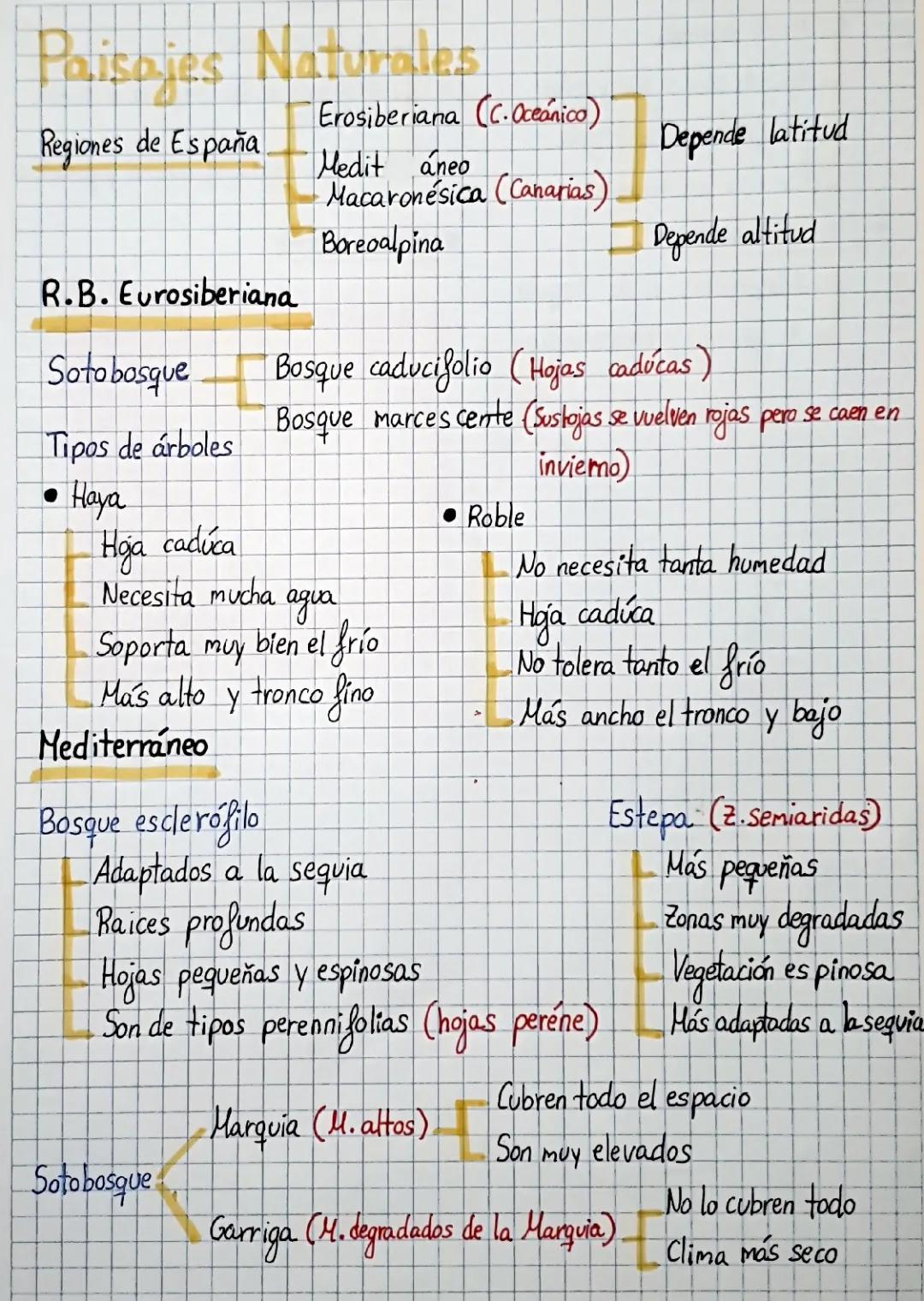 Explora los Paisajes Naturales de la Región Eurosiberiana en España y Aprende sobre los Árboles Mediterráneos