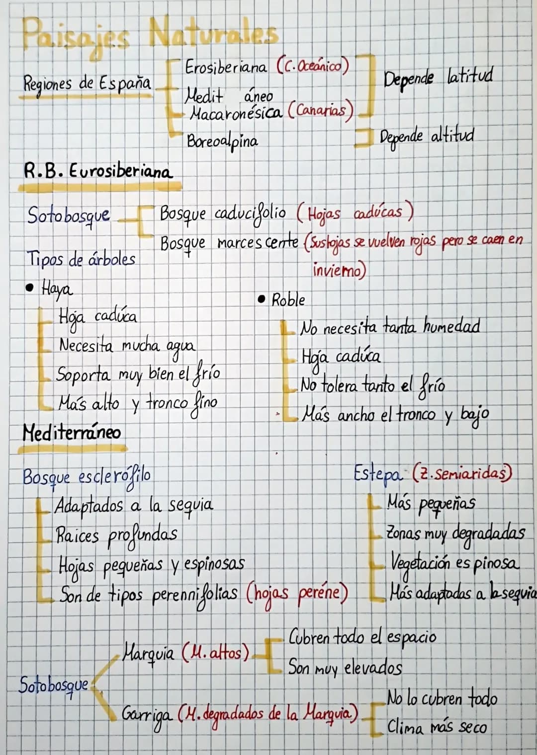 Paisajes Naturales
Regiones de España
R.B. Eurosiberiana
Soto bosque
Tipos de árboles
• Haya
Hoja caduca
нда
Necesita mucha
Mediterraneo
Bos