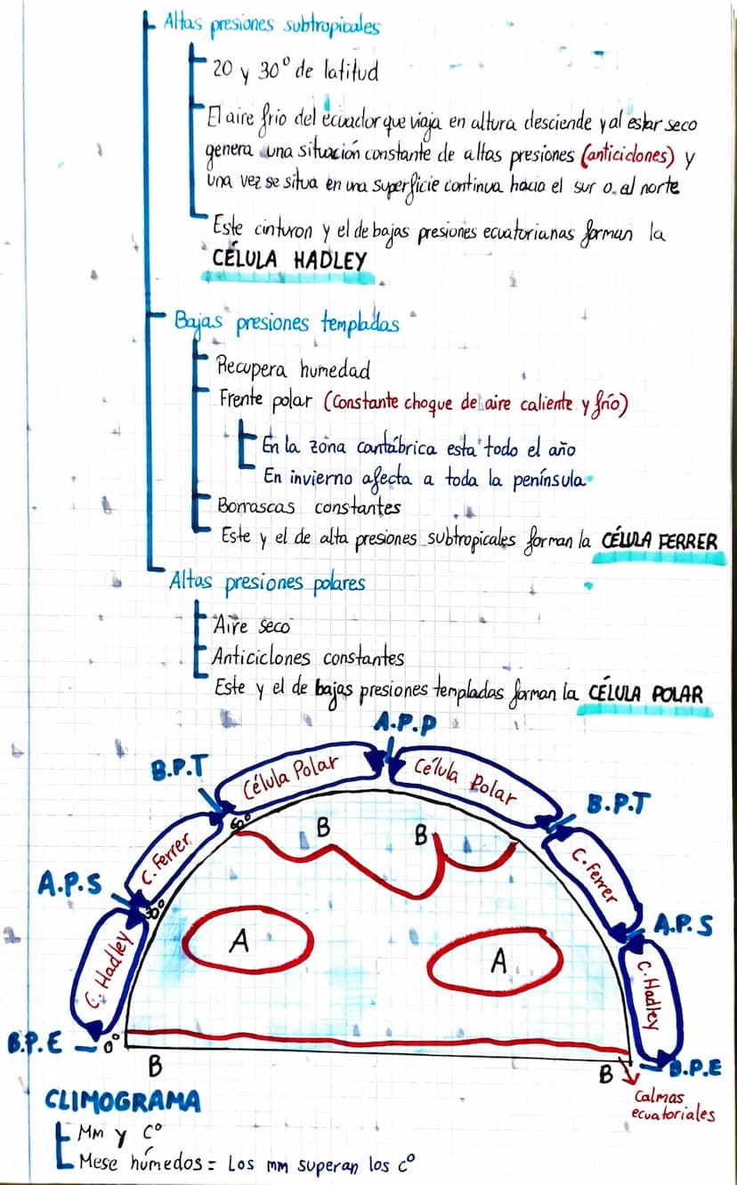 Paisajes Naturales
Regiones de España
R.B. Eurosiberiana
Soto bosque
Tipos de árboles
• Haya
Hoja caduca
нда
Necesita mucha
Mediterraneo
Bos