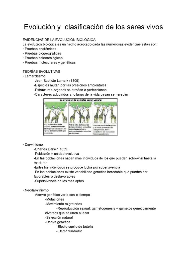 Know Evolución y  clasificación de los seres vivos thumbnail