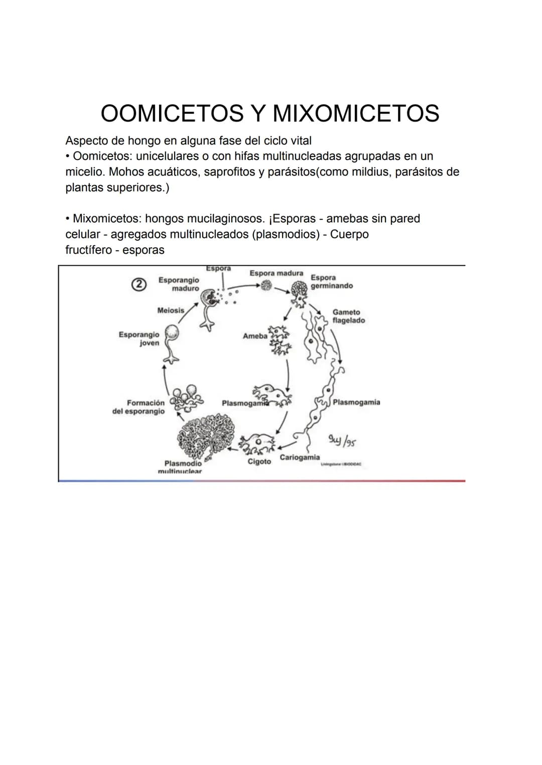 Evolución y clasificación de los seres vivos
EVIDENCIAS DE LA EVOLUCIÓN BIOLÓGICA
La evolución biológica es un hecho aceptado, dada las nume