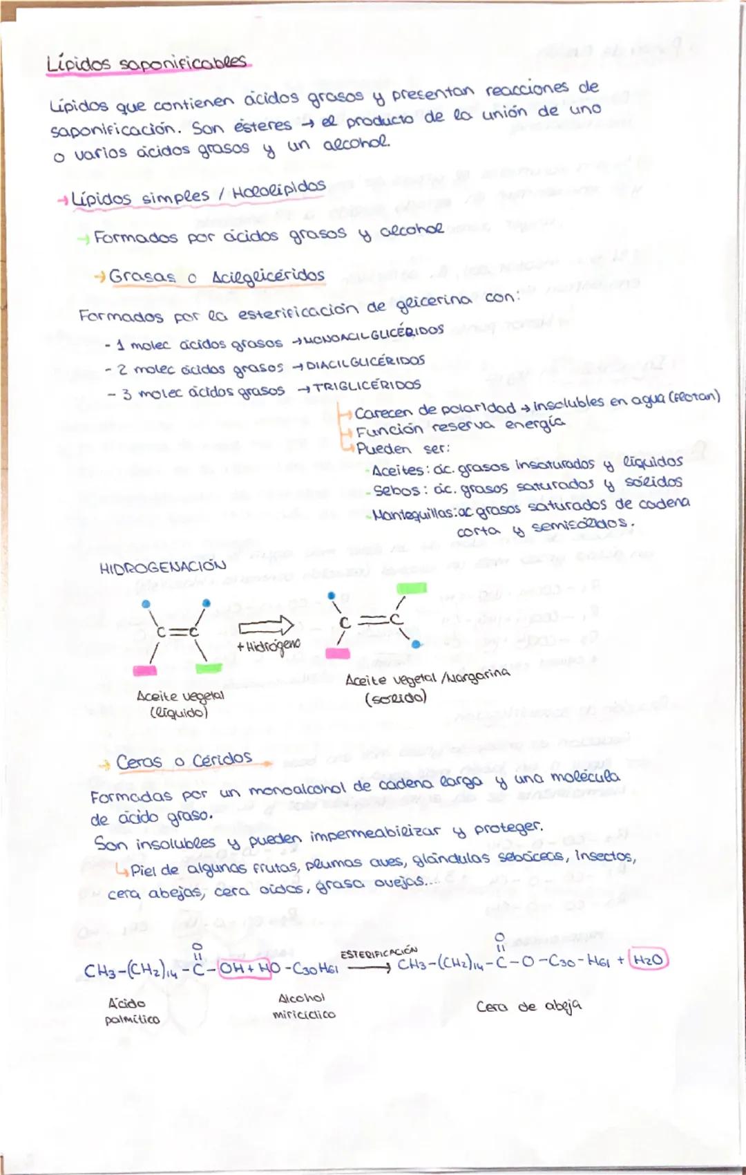 LIPIDOS
→Constituyen un grupo heterogéneo de sustancias quimicas, tanto
estructural como funcionalmente.
→ Compuestos por C. Hy O. Pueden co