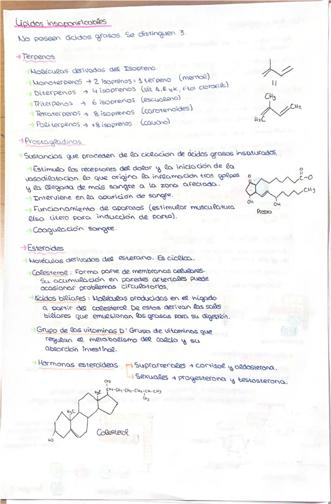 LIPIDOS
→Constituyen un grupo heterogéneo de sustancias quimicas, tanto
estructural como funcionalmente.
→ Compuestos por C. Hy O. Pueden co