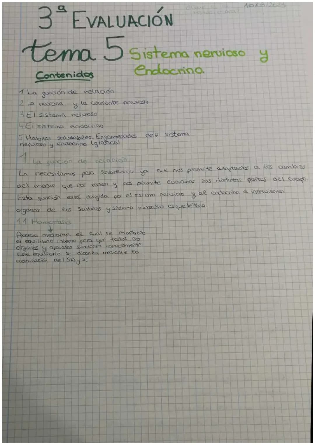 Resumen Sistema Nervioso y Endocrino 3 ESO - Apuntes y Ejercicios Resueltos