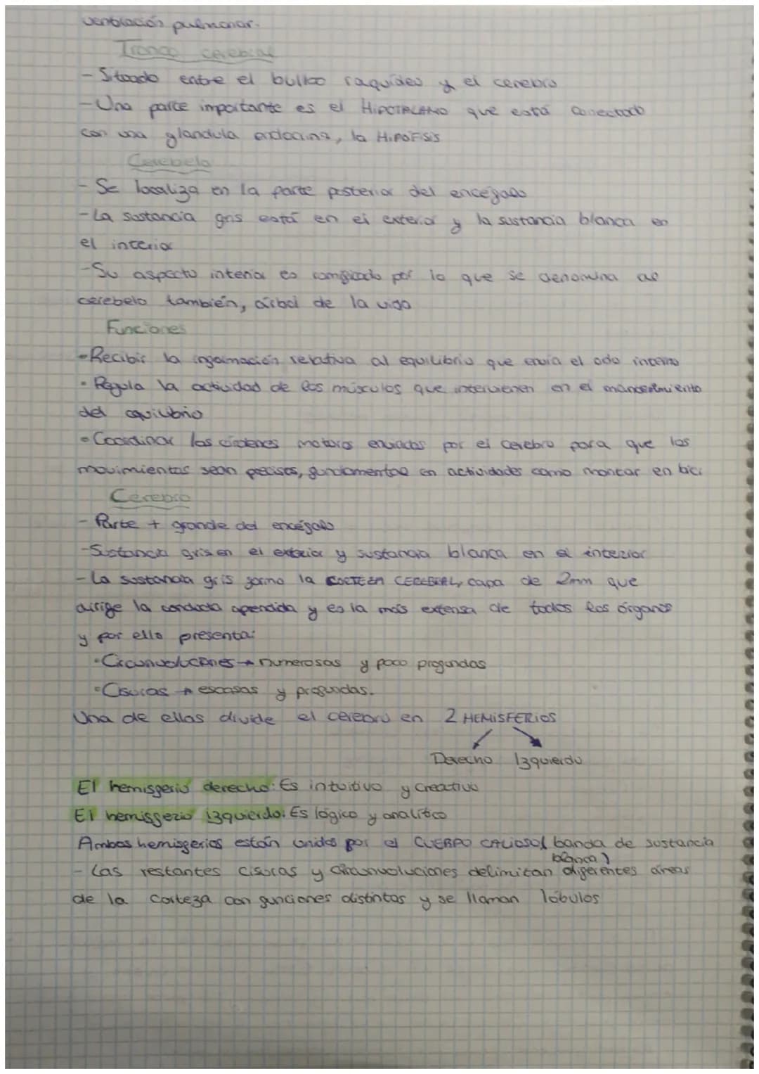 a
3 EVALUACIÓN
Contenidos
1 La función de relación
2 La neurona
3. El sistema nervioso
4 El sistema endocrino
la comente nerviosa
tema 5 Sis